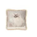 Coussin Chat Hiver 40x40