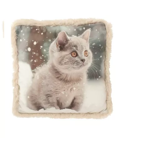 Coussin Chat Neige 40x40