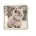 Coussin Chat Neige 40x40