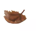 Coupe Feuille d'Automne 41x36