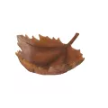 Coupe Feuille d'Automne 41x36