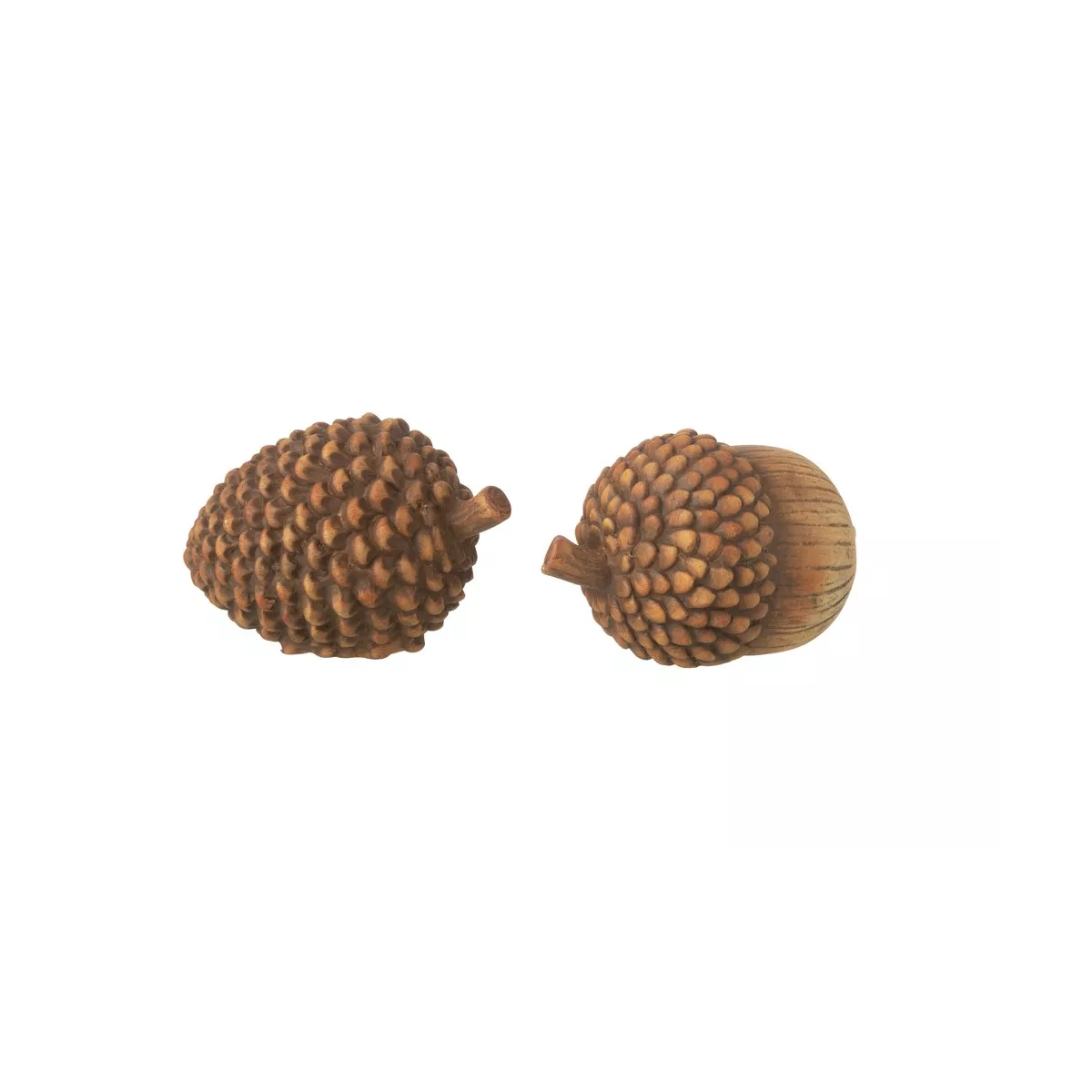 Serie de gland + Pomme de pin