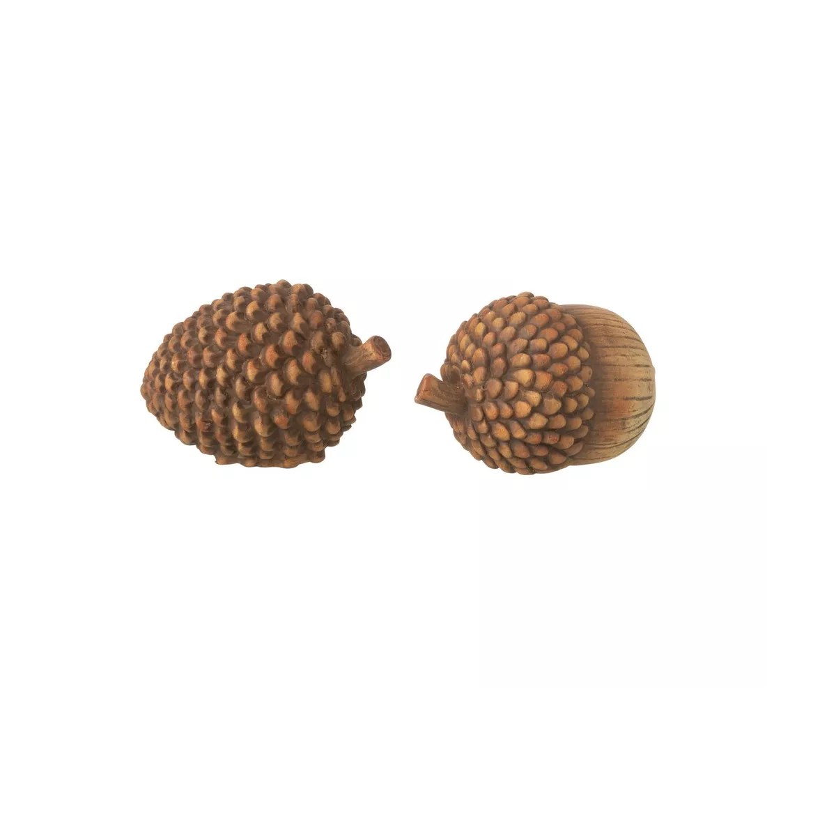 Serie de gland + Pomme de pin