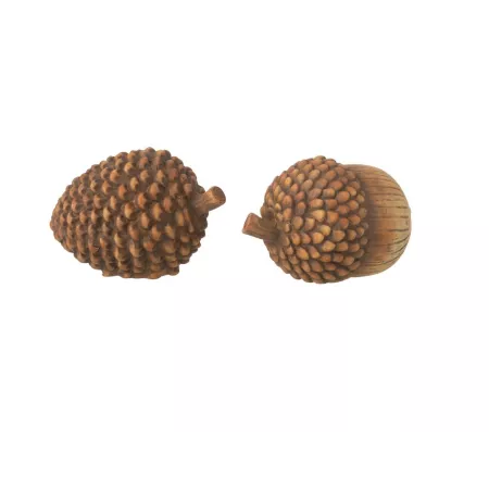 Serie de gland + Pomme de pin