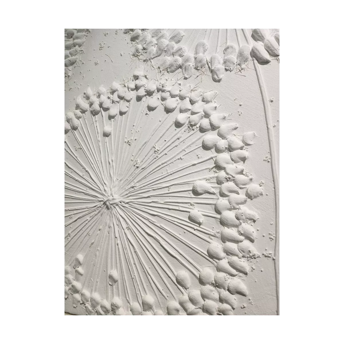 Tableau Blanc 4 Fleurs de Pissenlit 100x100