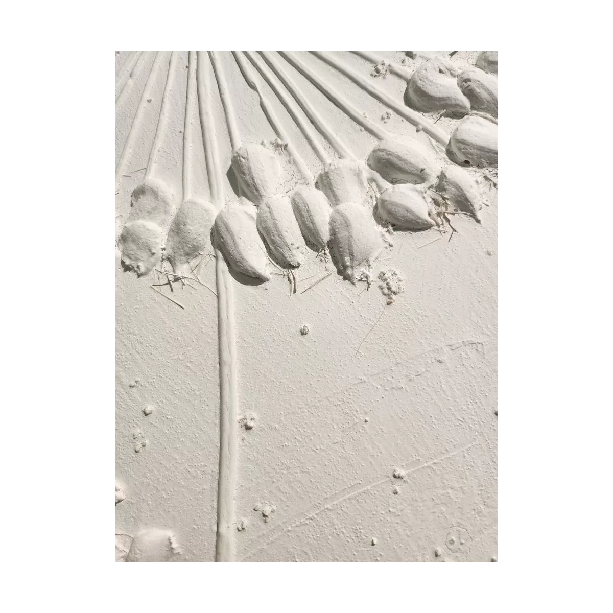 Tableau Blanc 4 Fleurs de Pissenlit 100x100