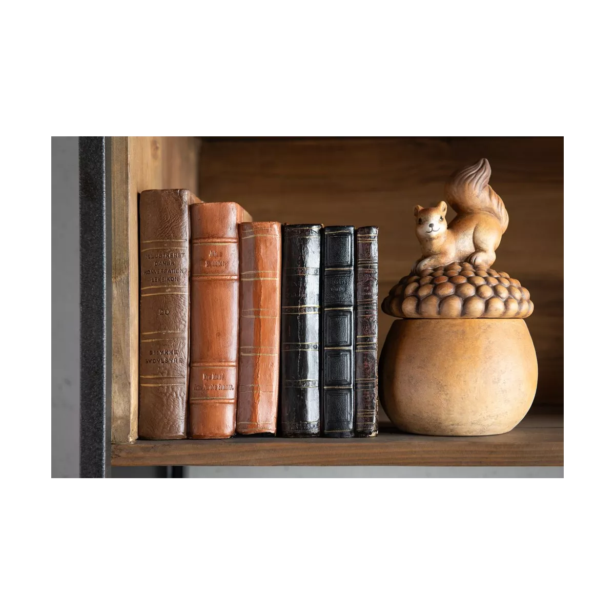 Livre Marron