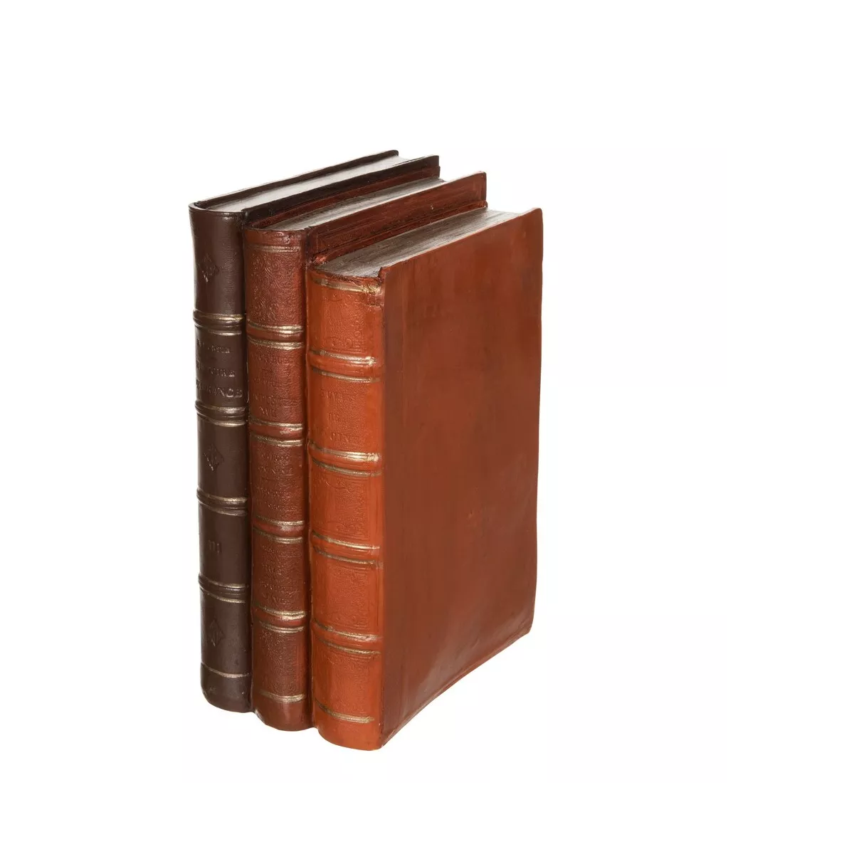 Livre Marron