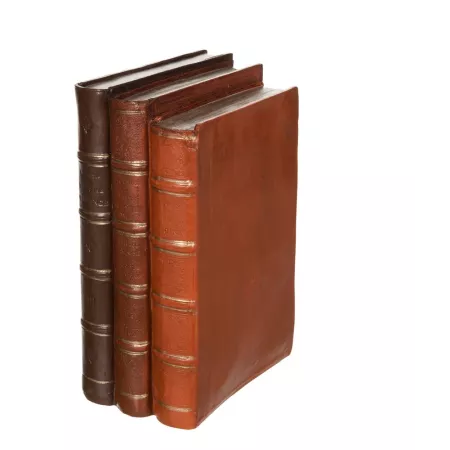 Livre Marron