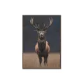 Tableau Cerf 70x100