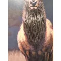 Tableau Cerf 70x100