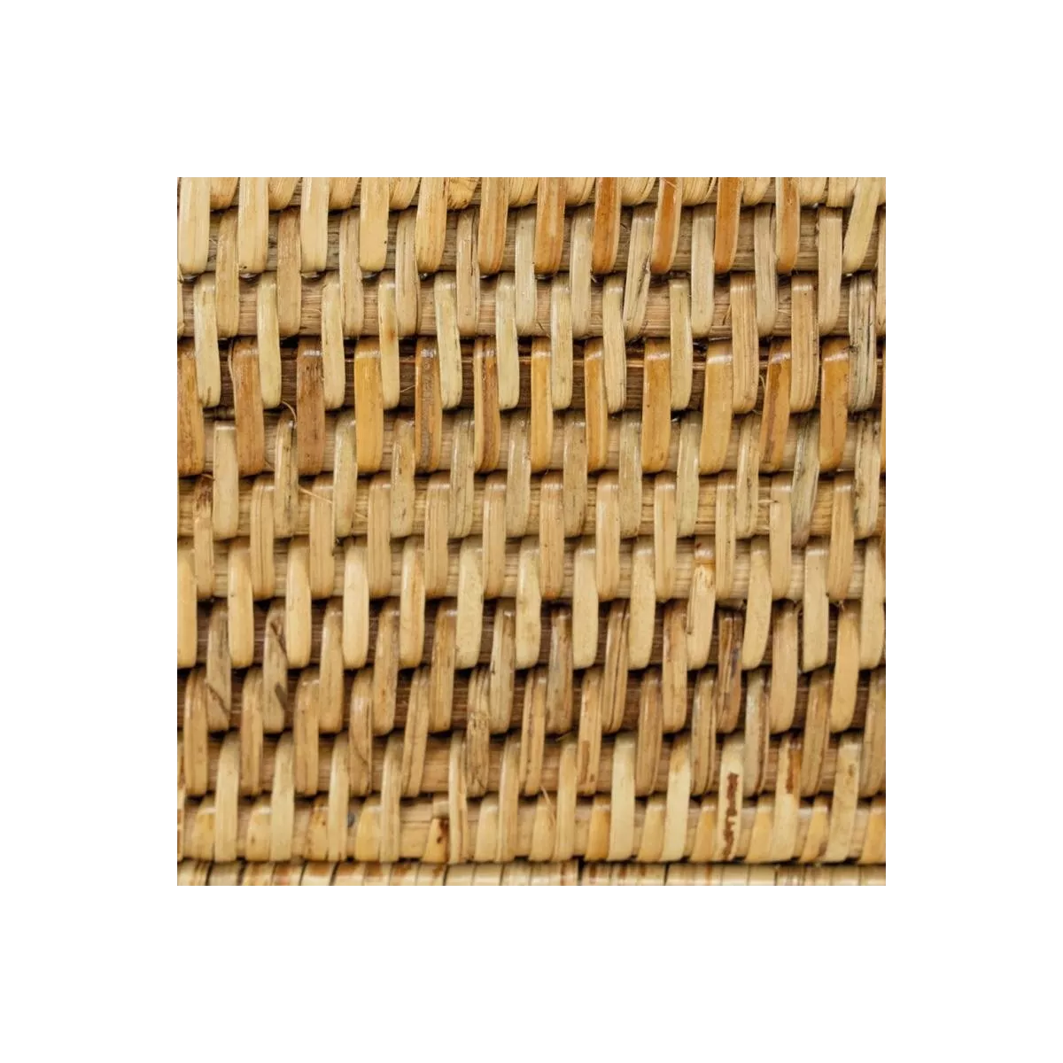 Coupe Rotin sur pied  22x22