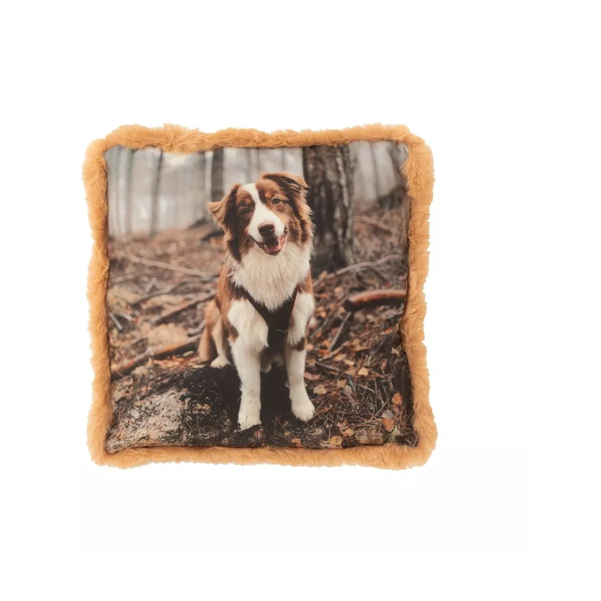 Coussin Chien dans les bois 40x40