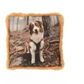 Coussin Chien dans les bois 40x40