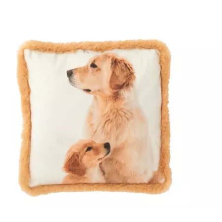 Coussin Chien et Chiot 40x40