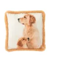 Coussin Chien et chiot 40x40