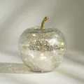 Lampe Led Pomme Argent 16x16