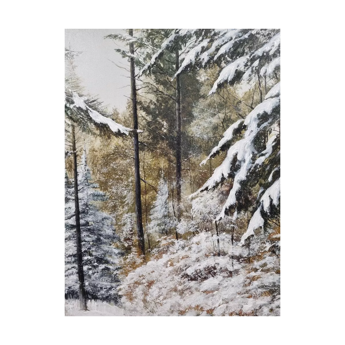 Tableau Sapins dans la Forêt 80x80