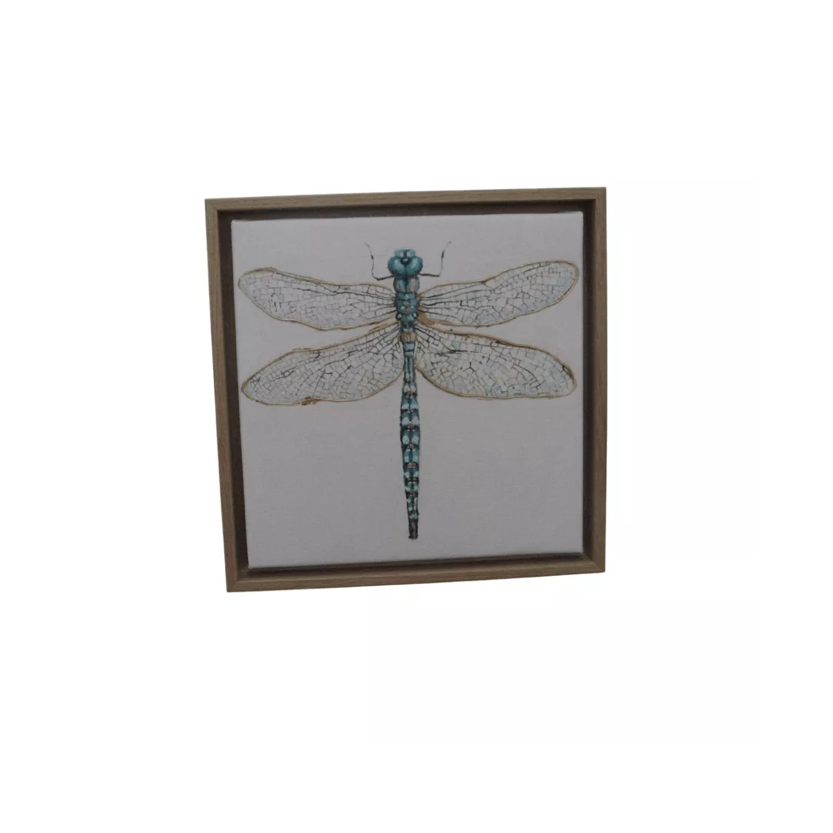 Tableau Libellule I 34x34