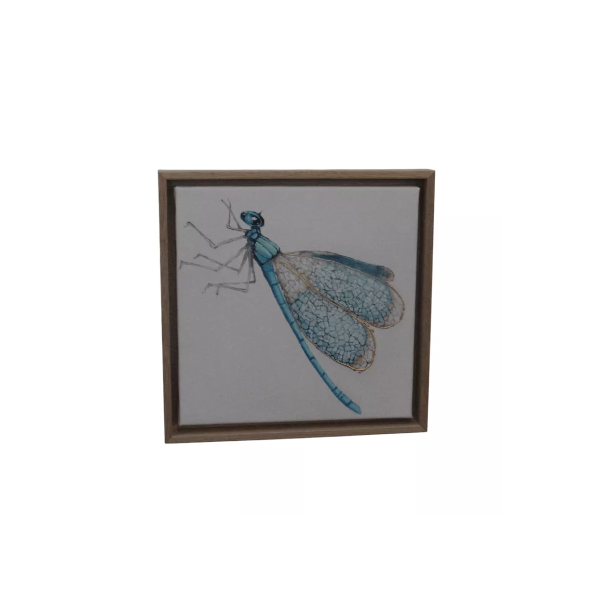 Tableau Libellule III 34x34