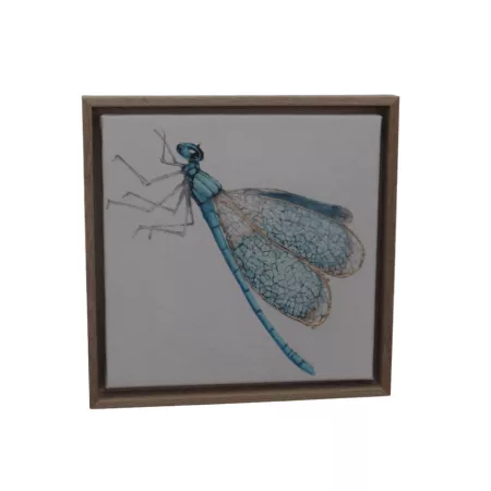 Tableau Libellule III 34x34