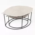 Série de 2 Tables Aluminium Erable 96/73