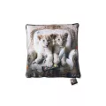 Coussin Binet - Lionceaux 45x45