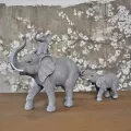 Eléphants gris Famille 72x42