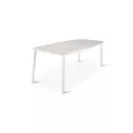 Table 220x100 Livy  Aluminium et Pierre