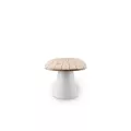 Table 260x110 Pipa Aluminium et Teak