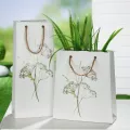 Vase Sac Motif Herbe