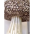Lampe Champignon Himeline H.68