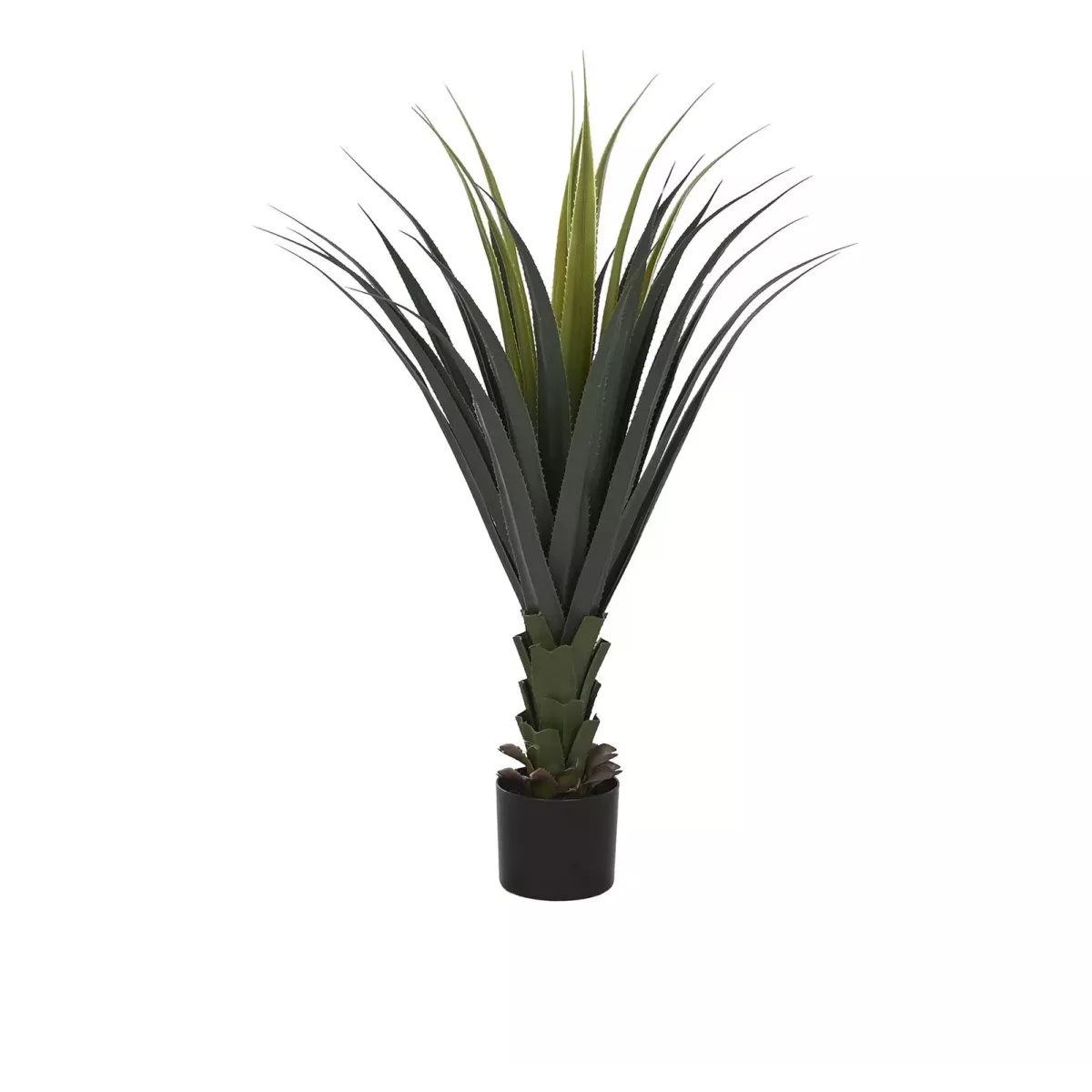 Yucca en pot noir H.100cm