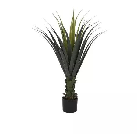 Yucca en pot noir H.100cm