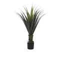 Yucca en pot noir H.100cm