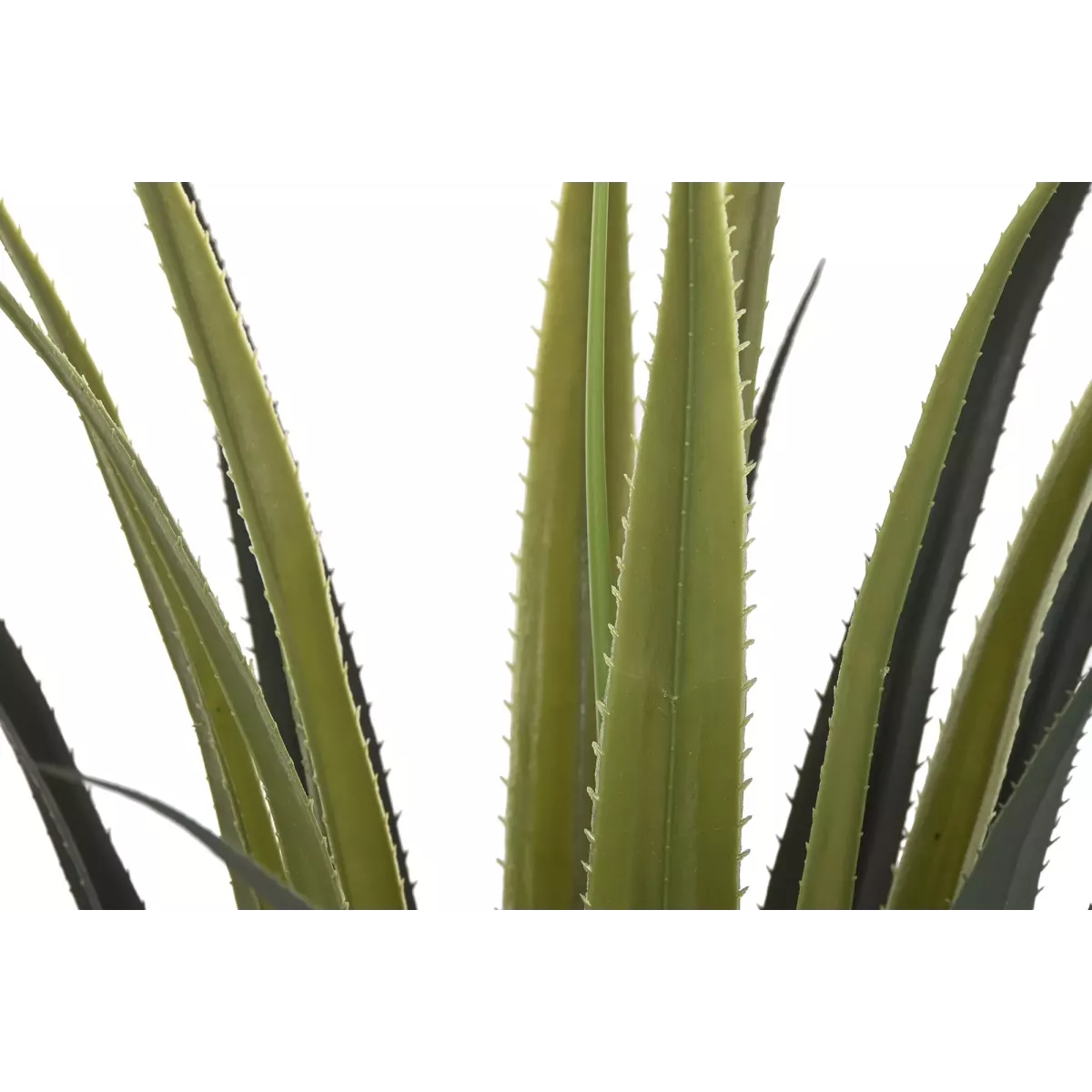 Yucca en pot noir H.100cm