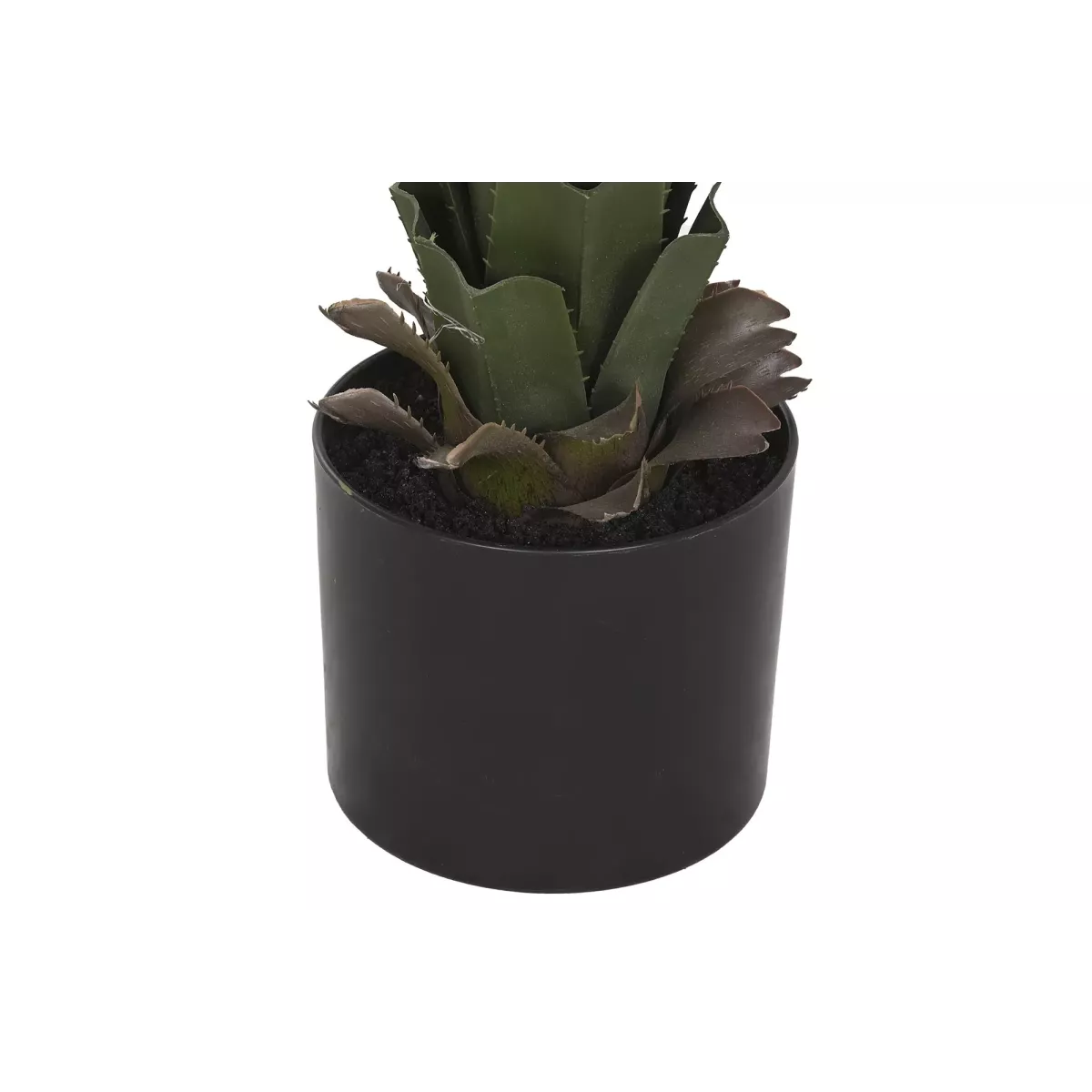 Yucca en pot noir H.100cm