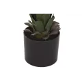 Yucca en pot noir H.100cm