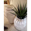 Yucca en pot noir H.100cm