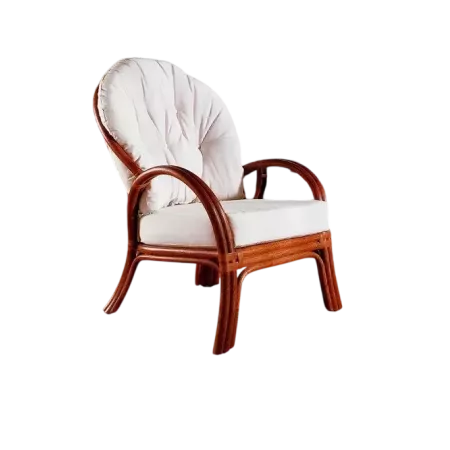 fauteuil en rotin naturel avec un coussin bibliothèque sydney