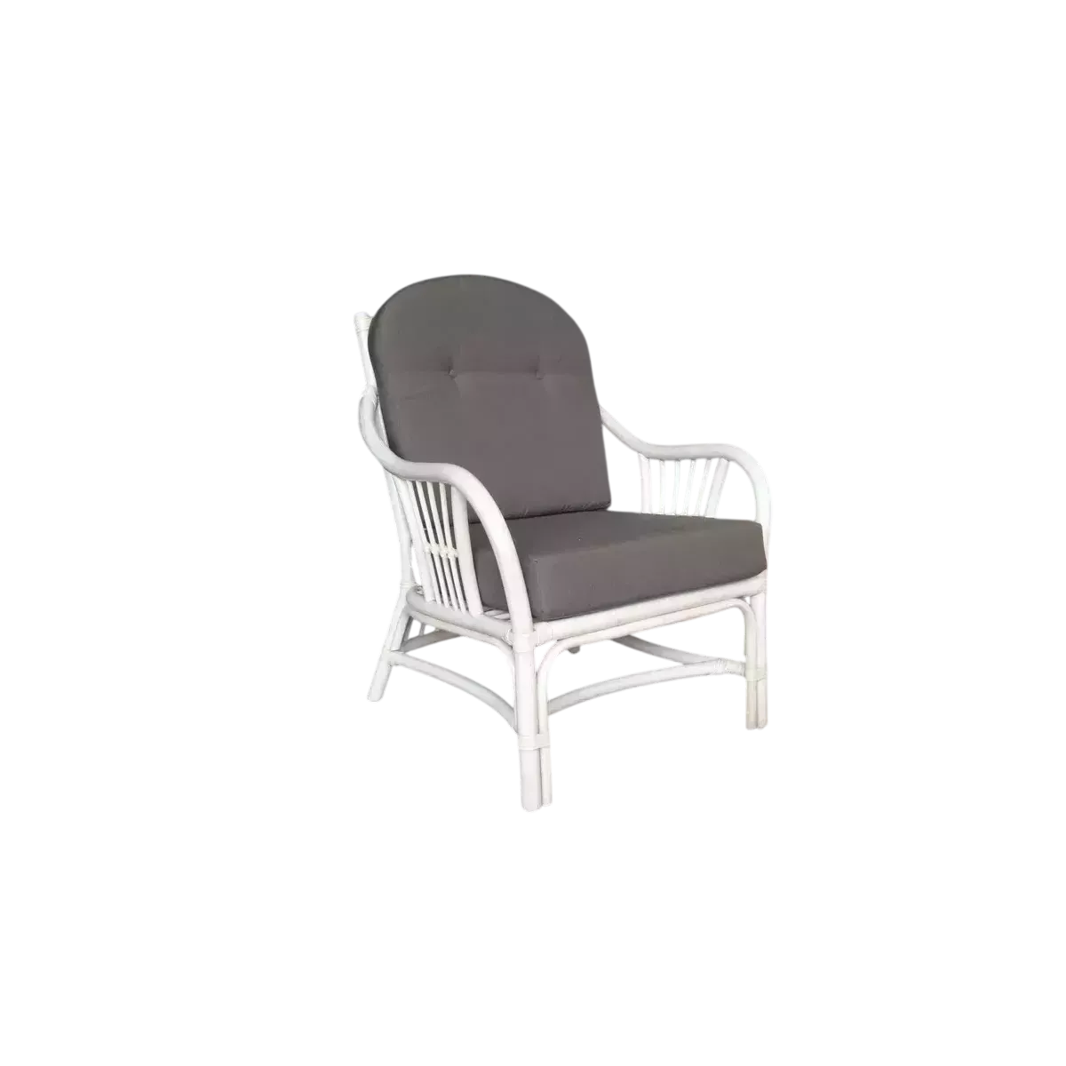 Fauteuil Leonis