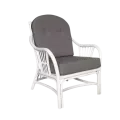 Fauteuil Leonis