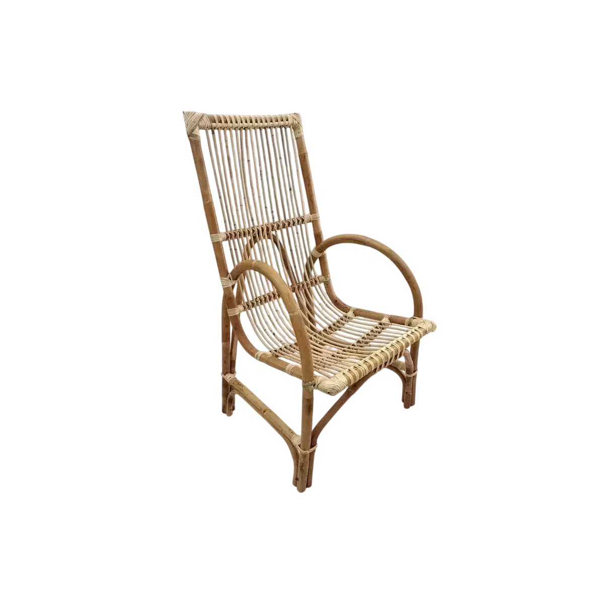 Fauteuil Fauve