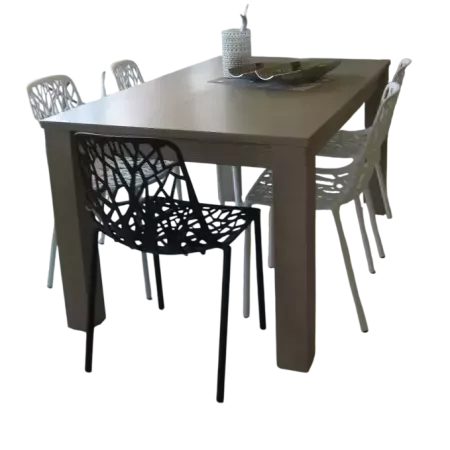 TABLE EN FRENE