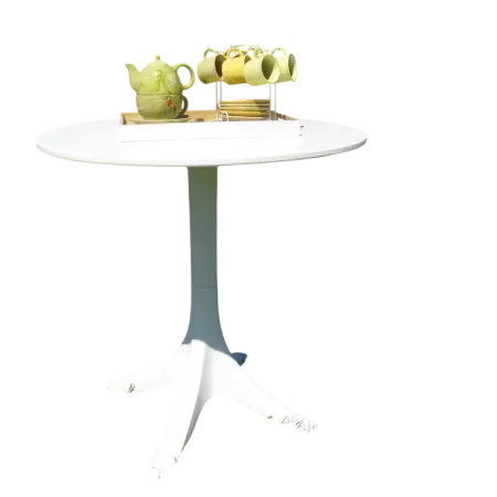 TABLE DE JARDIN