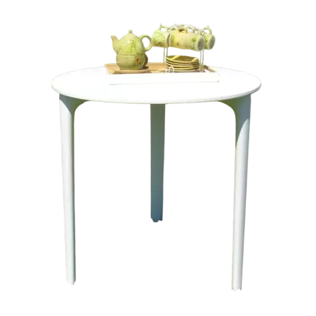 TABLE DE JARDIN