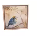 Tableau Oiseau D'Hivers I 34x34