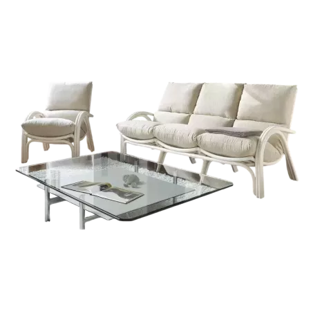 salon en rotin