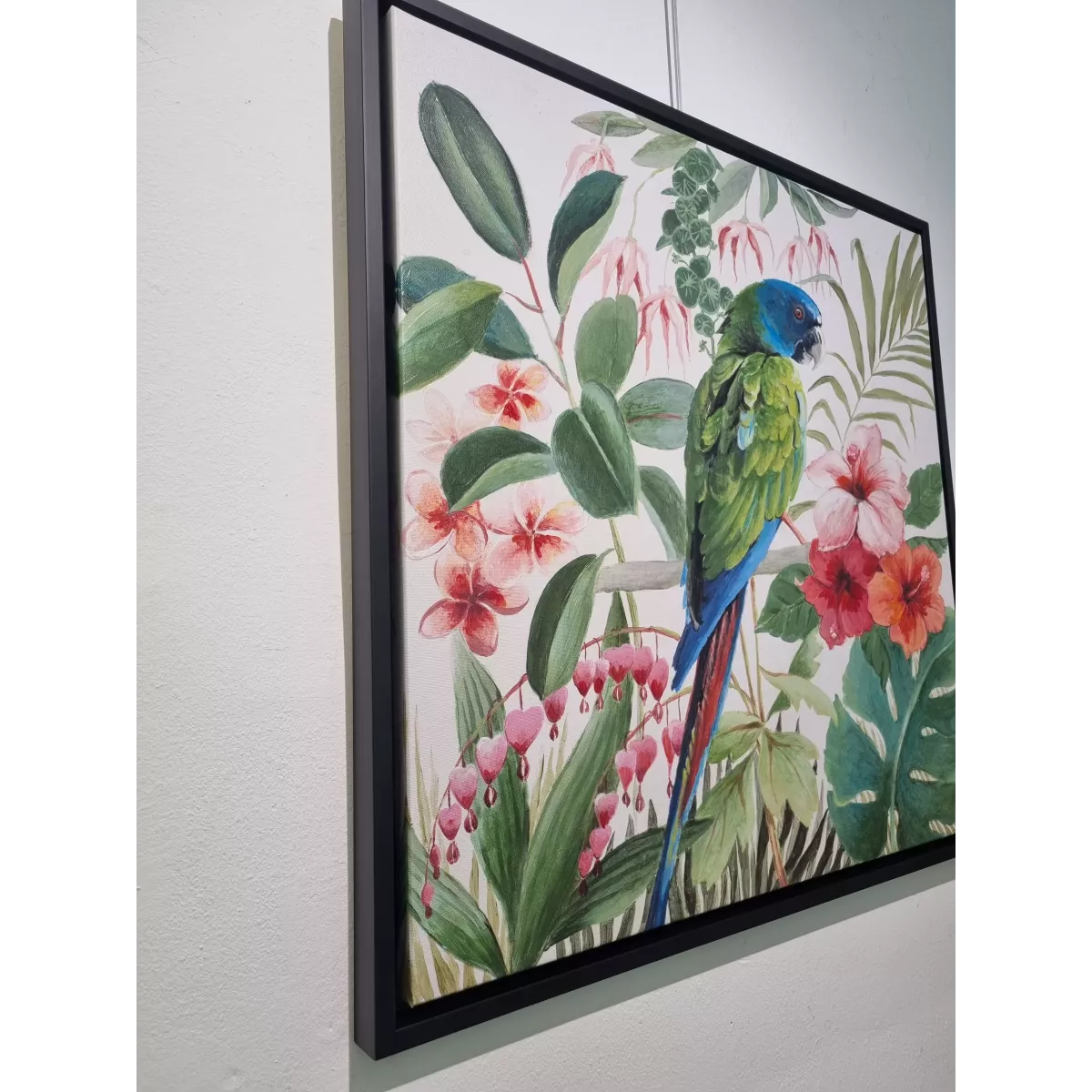 Tableau Perroquets 70x70