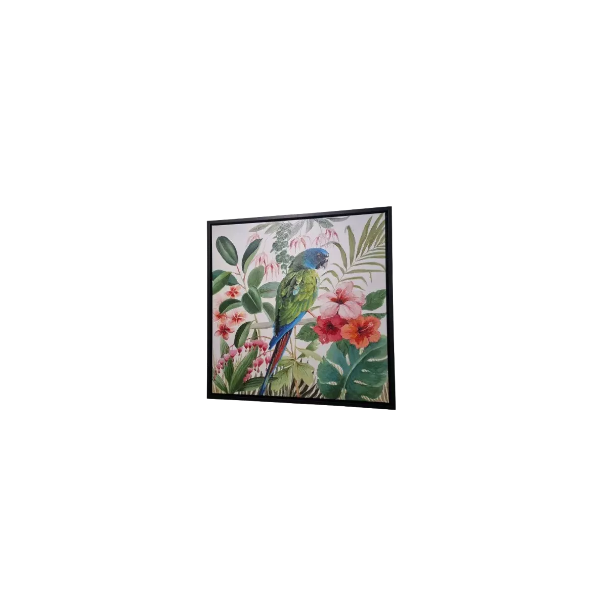 Tableau Perroquets 70x70